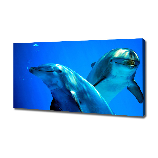 Foto quadro su tela Due delfini