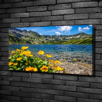 Quadro su tela Lago tra le montagne