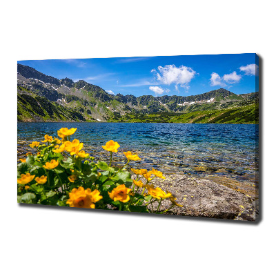 Quadro su tela Lago tra le montagne