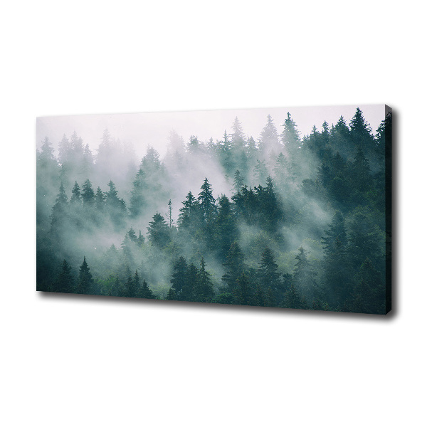 Foto quadro su tela Nebbia sulla foresta