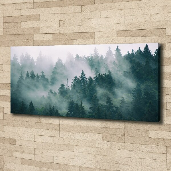 Foto quadro su tela Nebbia sulla foresta