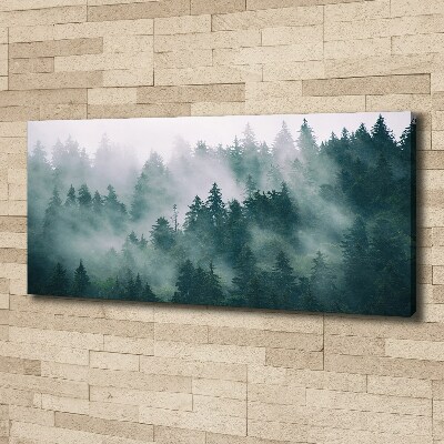 Foto quadro su tela Nebbia sulla foresta