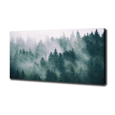 Foto quadro su tela Nebbia sulla foresta