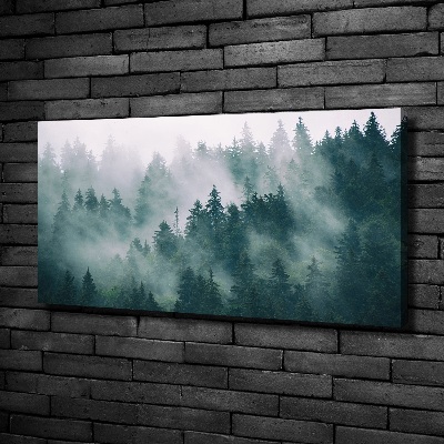 Foto quadro su tela Nebbia sulla foresta