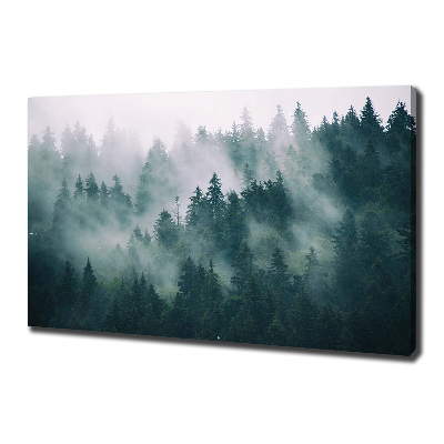 Foto quadro su tela Nebbia sulla foresta