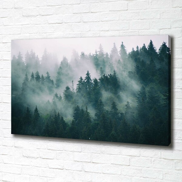 Foto quadro su tela Nebbia sulla foresta