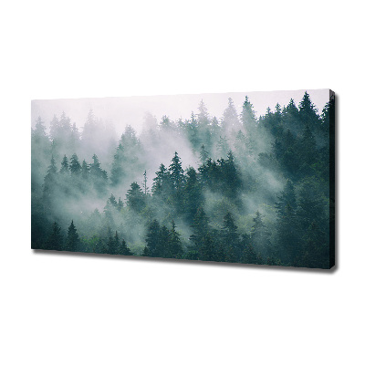 Foto quadro su tela Nebbia sulla foresta