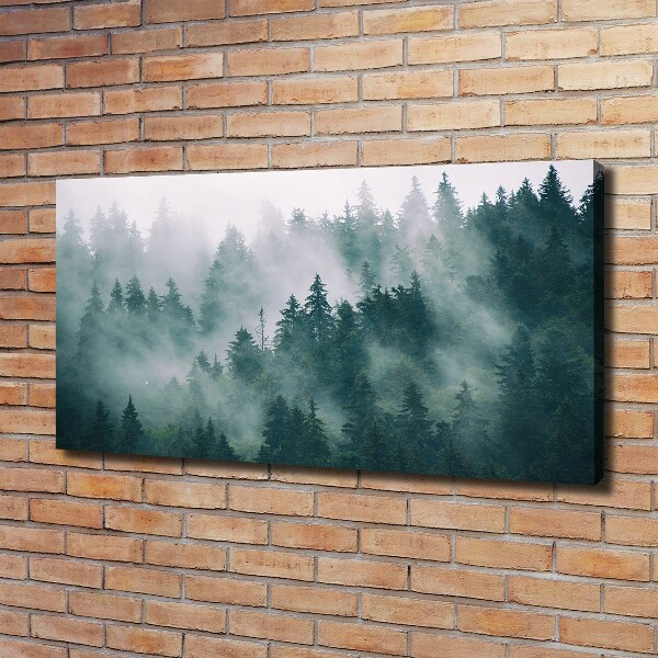 Foto quadro su tela Nebbia sulla foresta