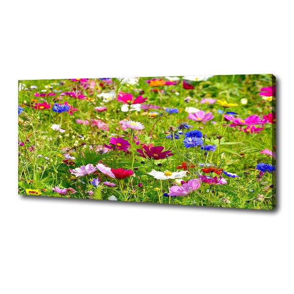 Quadro su tela Fiori selvatici