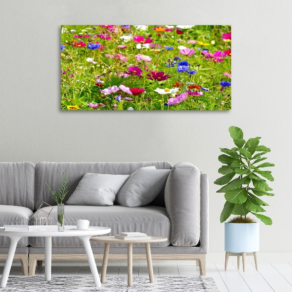 Quadro su tela Fiori selvatici
