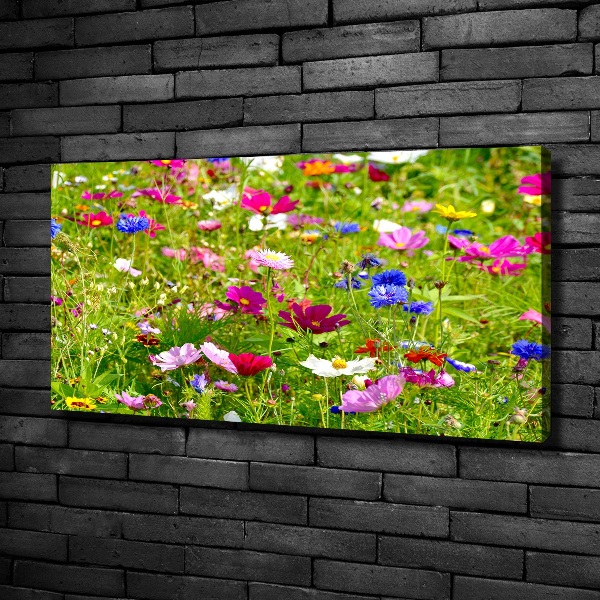 Quadro su tela Fiori selvatici