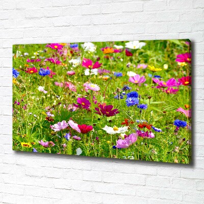 Quadro su tela Fiori selvatici