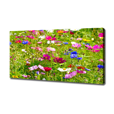 Quadro su tela Fiori selvatici