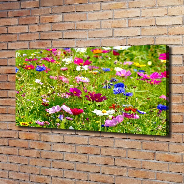 Quadro su tela Fiori selvatici