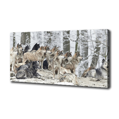 Quadro su tela Lupi in inverno