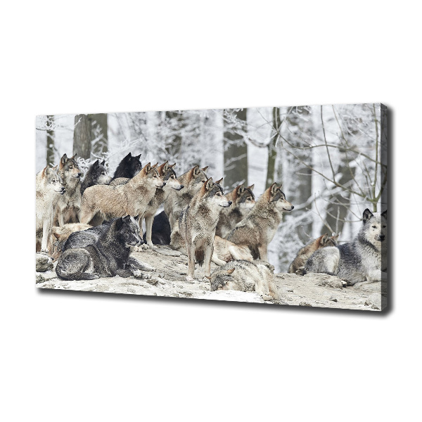 Quadro su tela Lupi in inverno