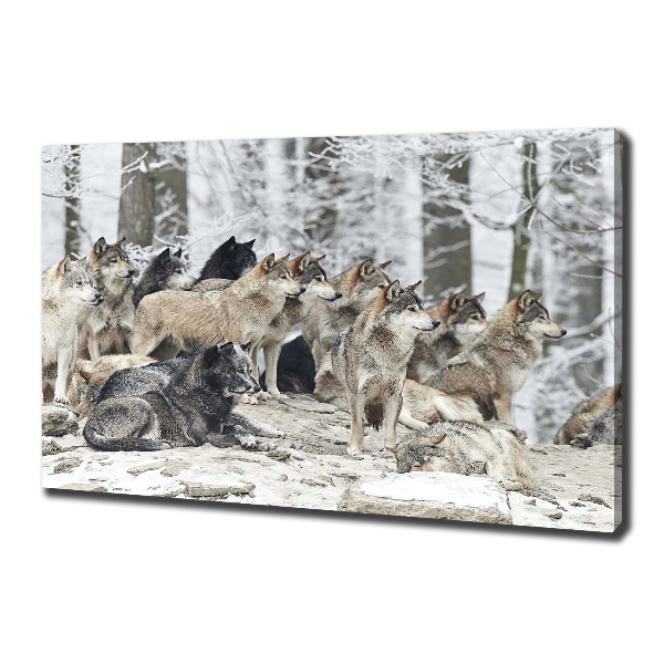 Quadro su tela Lupi in inverno