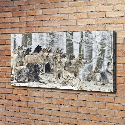 Quadro su tela Lupi in inverno