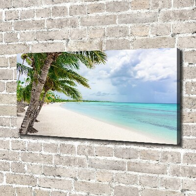Quadro su tela Spiaggia tropicale