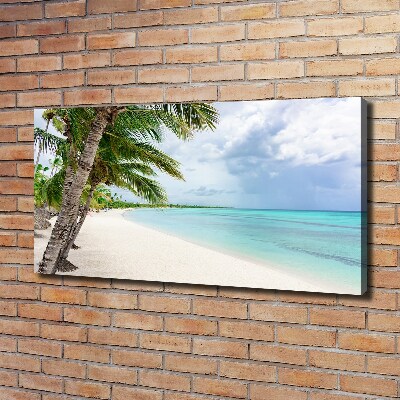 Quadro su tela Spiaggia tropicale