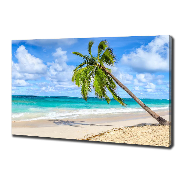 Foto quadro su tela Spiaggia tropicale