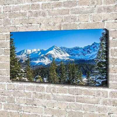 Quadro stampa su tela Panorama dei Monti Tatra