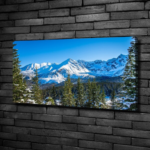 Quadro stampa su tela Panorama dei Monti Tatra