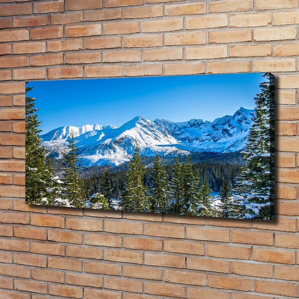 Quadro stampa su tela Panorama dei Monti Tatra