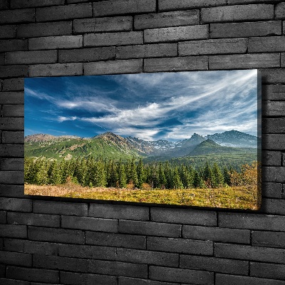 Quadro su tela Autunno sui Monti Tatra