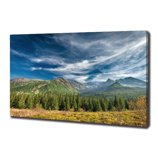 Quadro su tela Autunno sui Monti Tatra