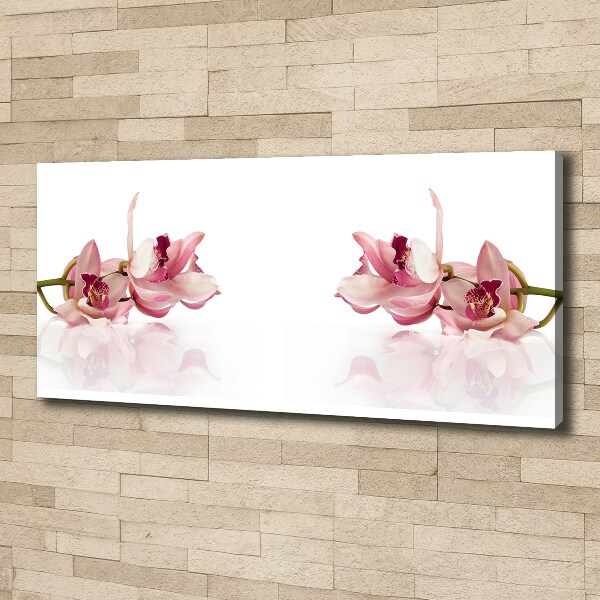 Foto quadro su tela Orchidea