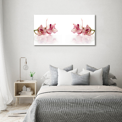Foto quadro su tela Orchidea