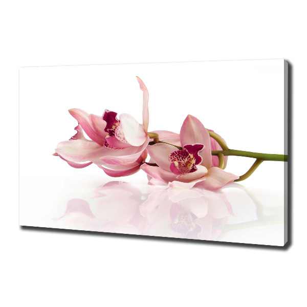Foto quadro su tela Orchidea