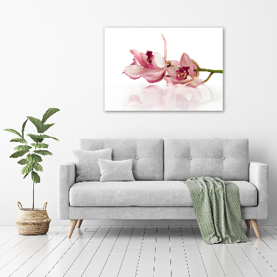 Foto quadro su tela Orchidea