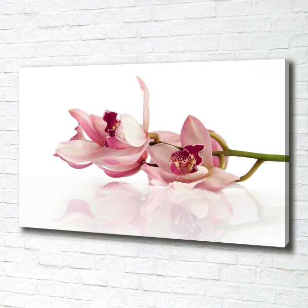 Foto quadro su tela Orchidea