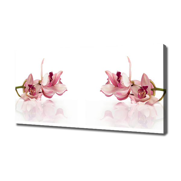 Foto quadro su tela Orchidea