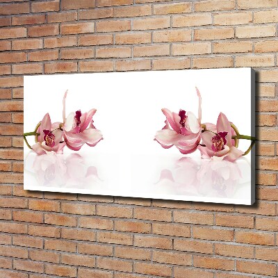 Foto quadro su tela Orchidea