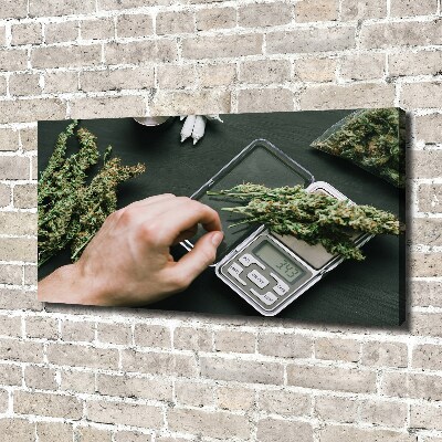 Quadro stampa su tela Cime di marijuana