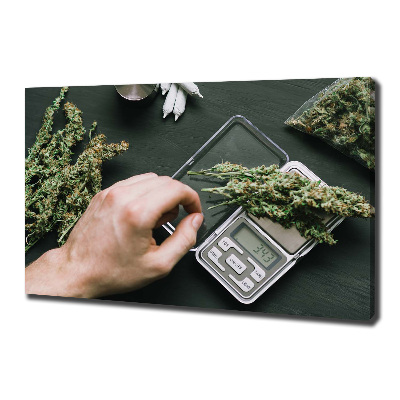 Quadro stampa su tela Cime di marijuana