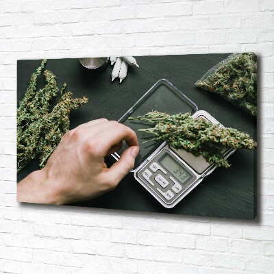Quadro stampa su tela Cime di marijuana