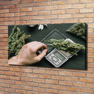 Quadro stampa su tela Cime di marijuana