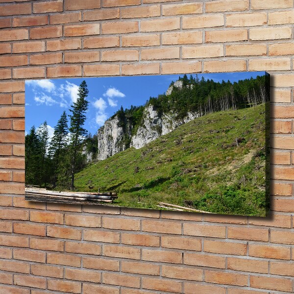 Quadro su tela Cime rocciose