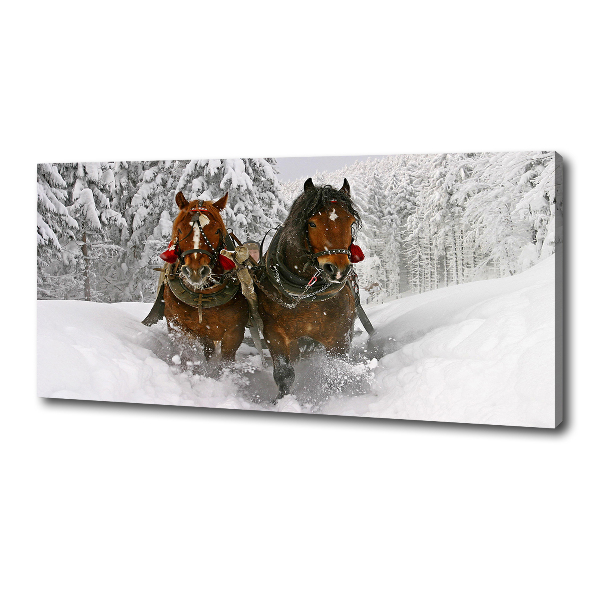 Quadro stampa su tela Giro in slitta