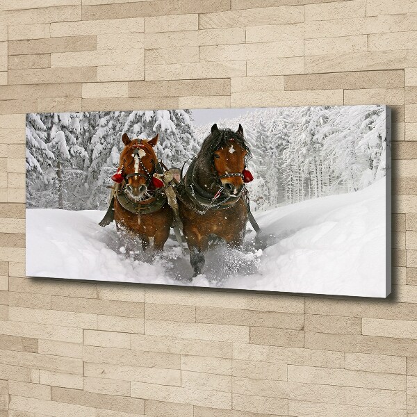 Quadro stampa su tela Giro in slitta