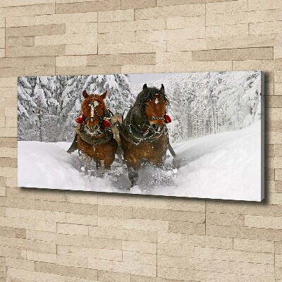 Quadro stampa su tela Giro in slitta