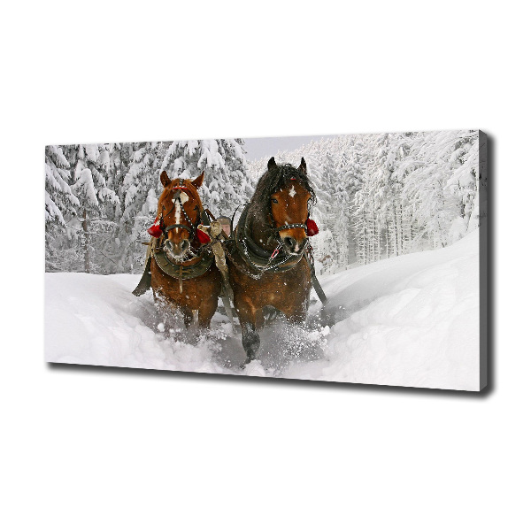 Quadro stampa su tela Giro in slitta