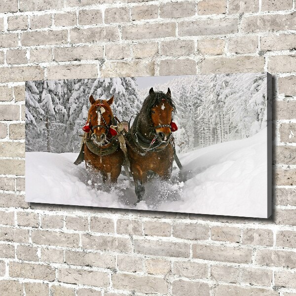 Quadro stampa su tela Giro in slitta