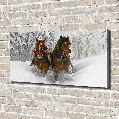 Quadro stampa su tela Giro in slitta