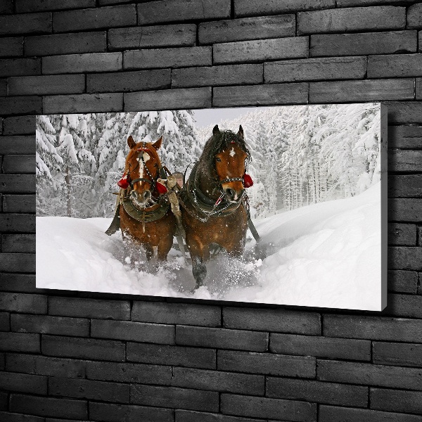 Quadro stampa su tela Giro in slitta