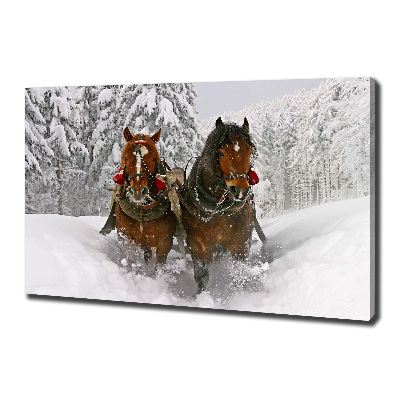 Quadro stampa su tela Giro in slitta